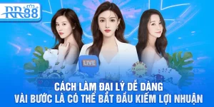 Cách làm đại lý dễ dàng vài bước là có thể bắt đầu kiếm lợi nhuận