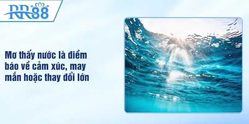 Mơ thấy nước là điềm báo về cảm xúc, may mắn hoặc thay đổi lớn